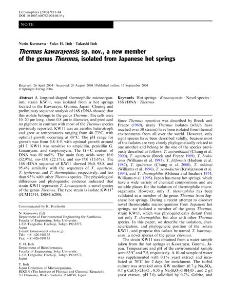 kw11 strain|Thermus kawarayensis sp. nov., a new member of the genus。